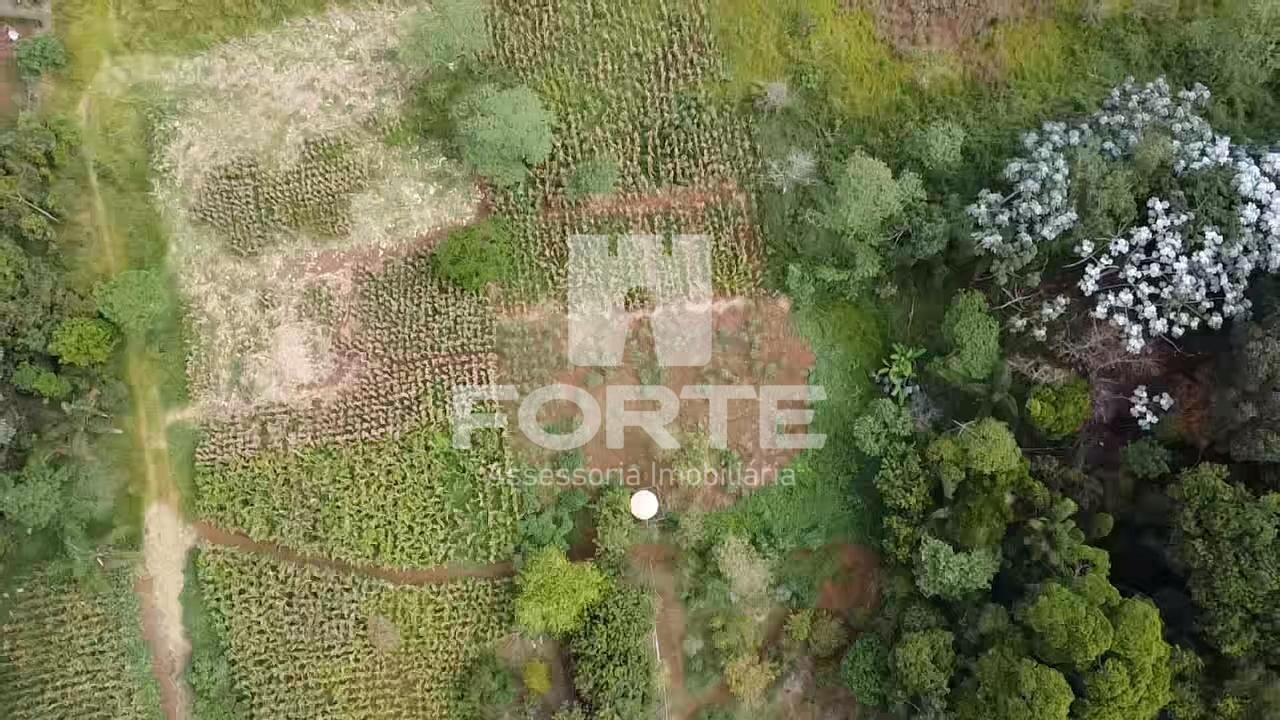 Terreno, 3 hectares - Foto 32
