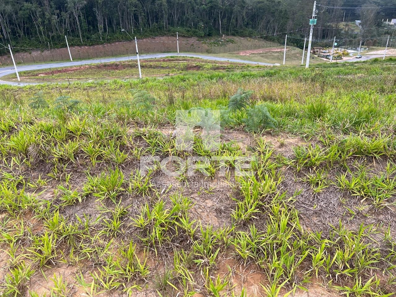 Terreno, 250 m² - Foto 4