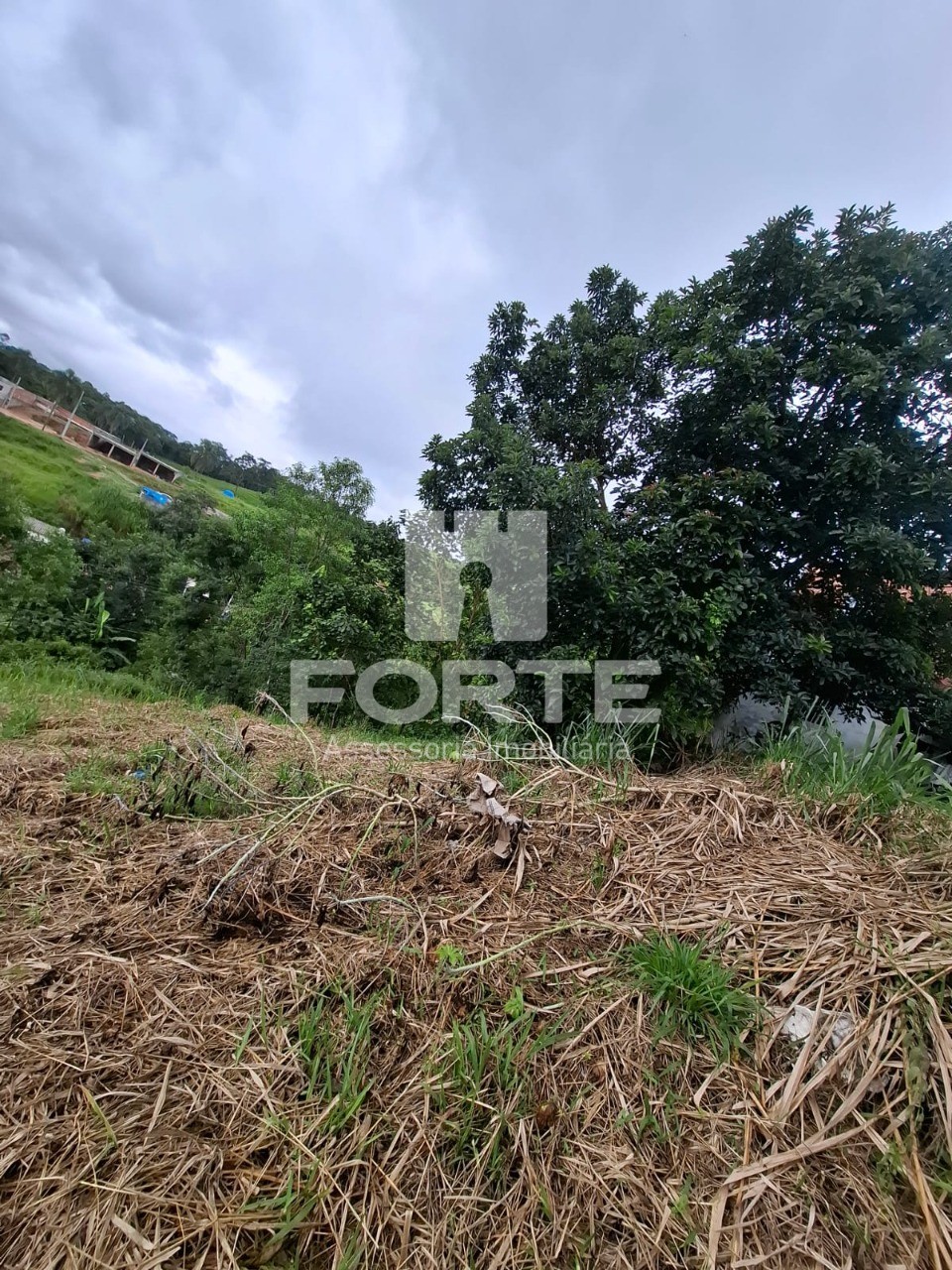 Terreno, 240 m² - Foto 8