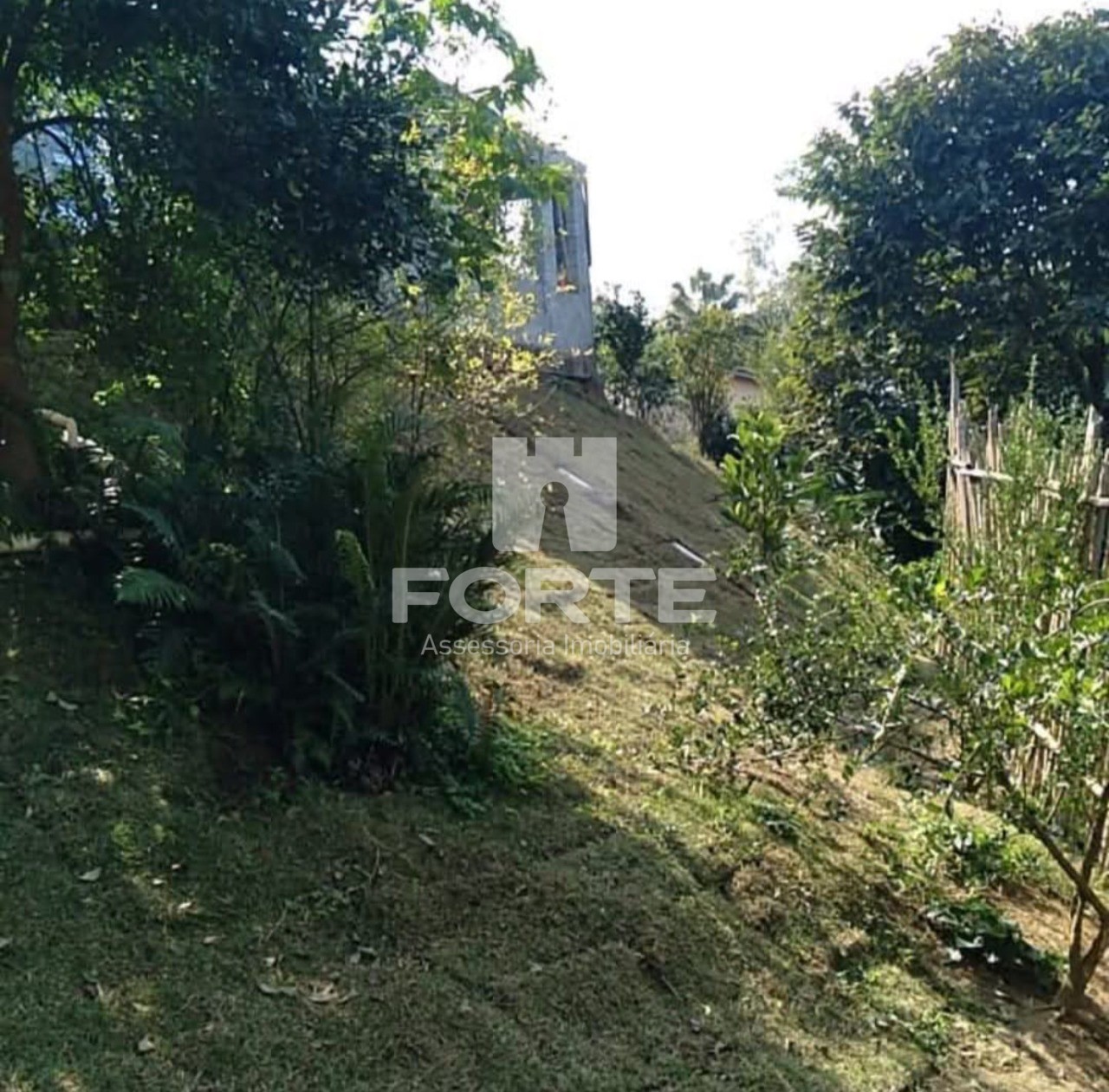 Terreno, 1382 m² - Foto 6