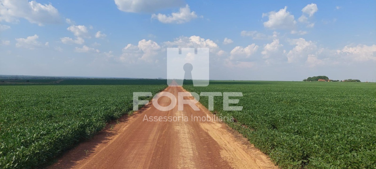 Fazenda, 4 quartos - Foto 3
