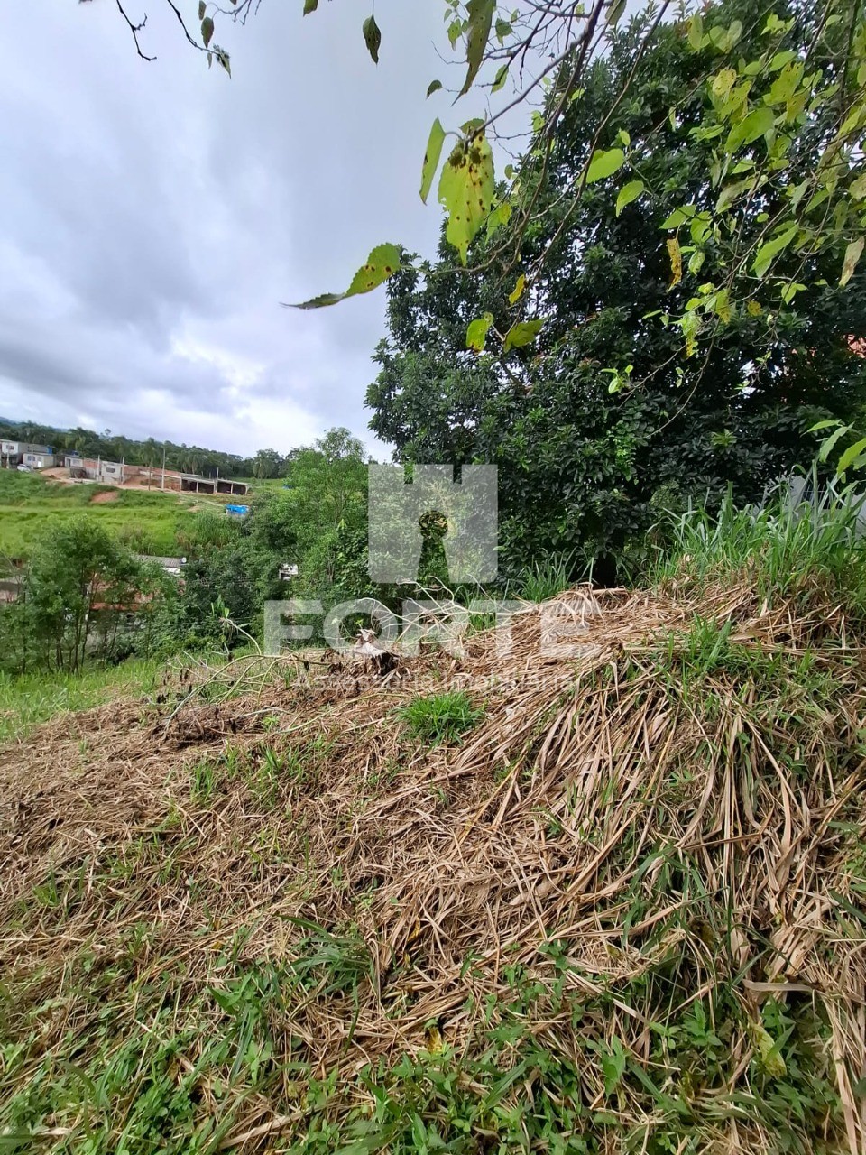 Terreno, 240 m² - Foto 6