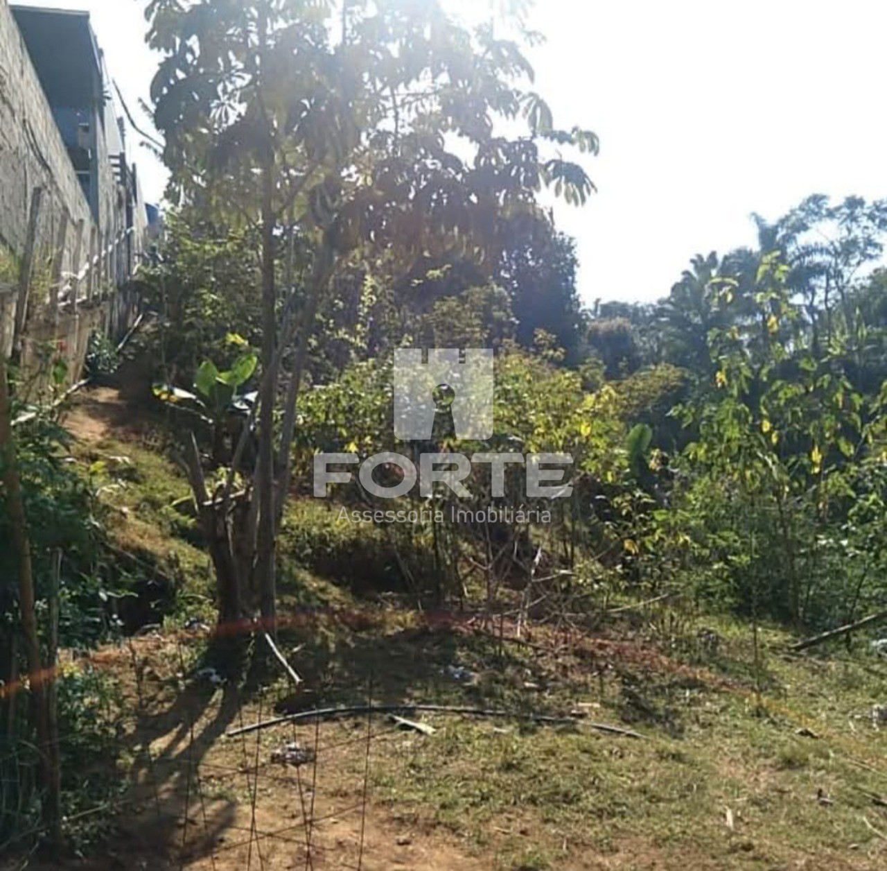 Terreno, 1382 m² - Foto 7