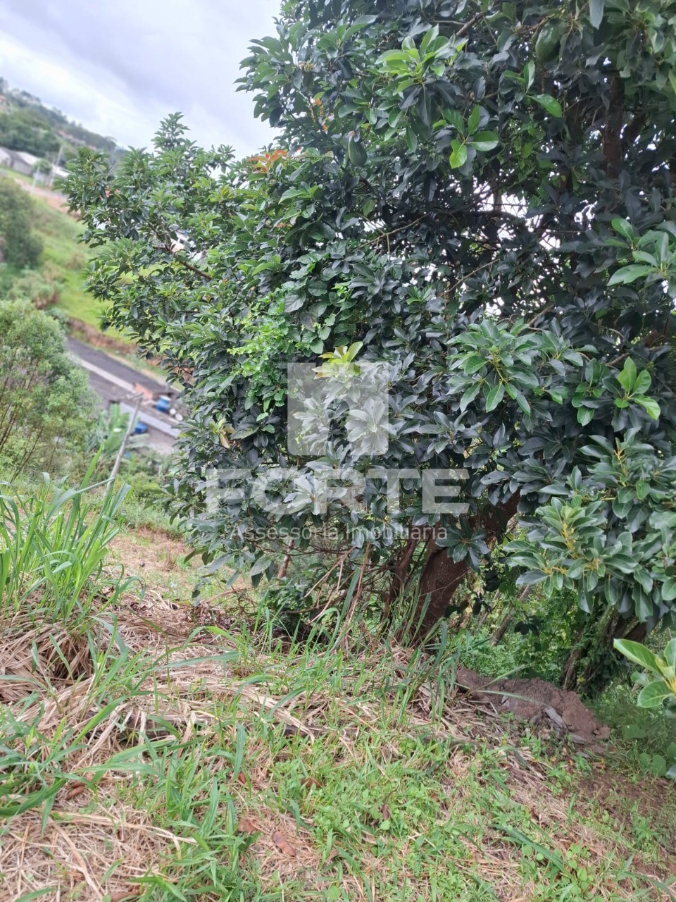Terreno, 240 m² - Foto 7