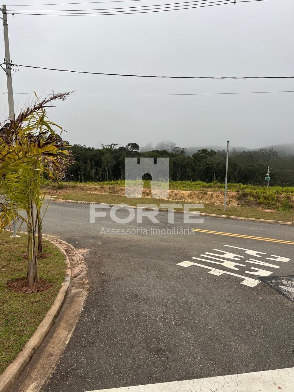 Terreno, 250 m² - Foto 5