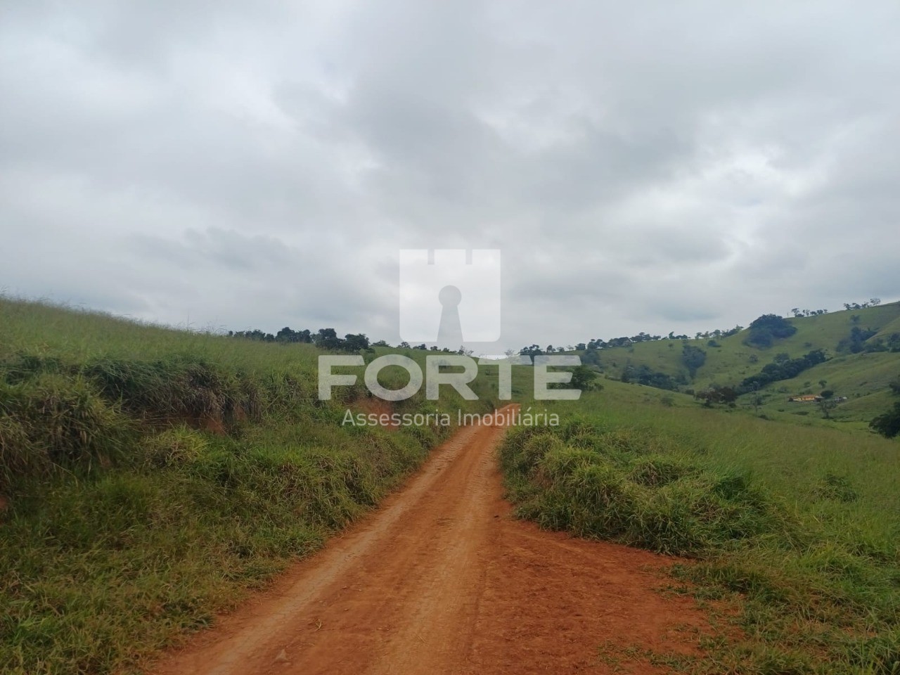 Fazenda, 39 hectares - Foto 3