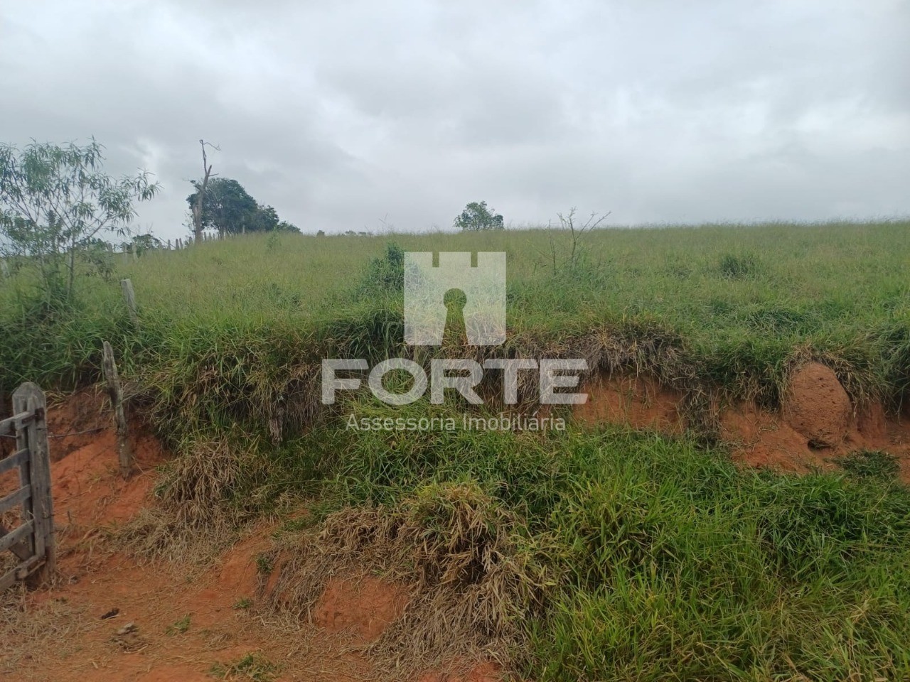 Fazenda, 39 hectares - Foto 6