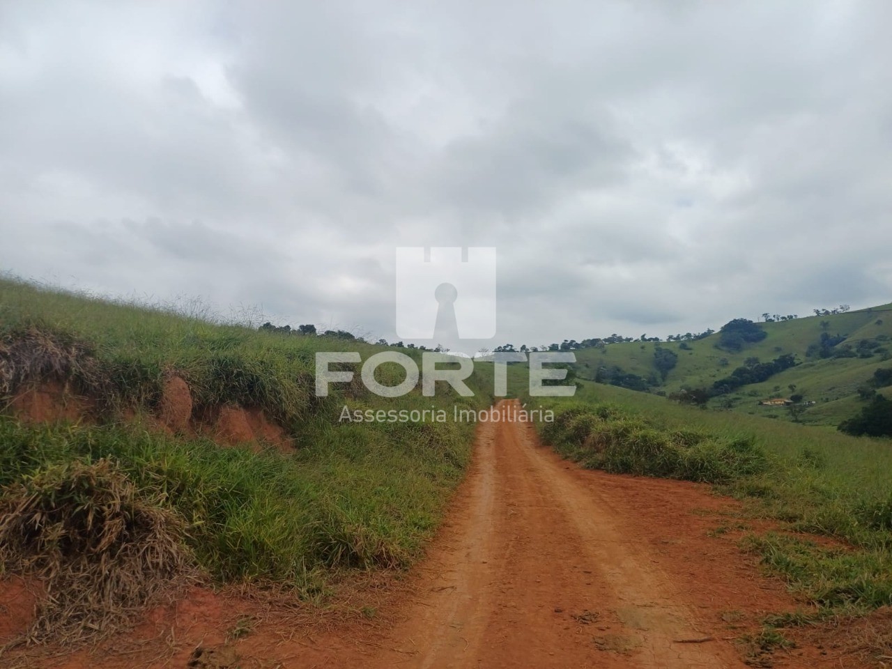 Fazenda, 39 hectares - Foto 2