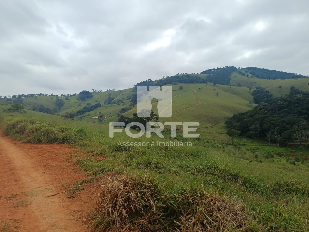 Fazenda, 39 hectares - Foto 1