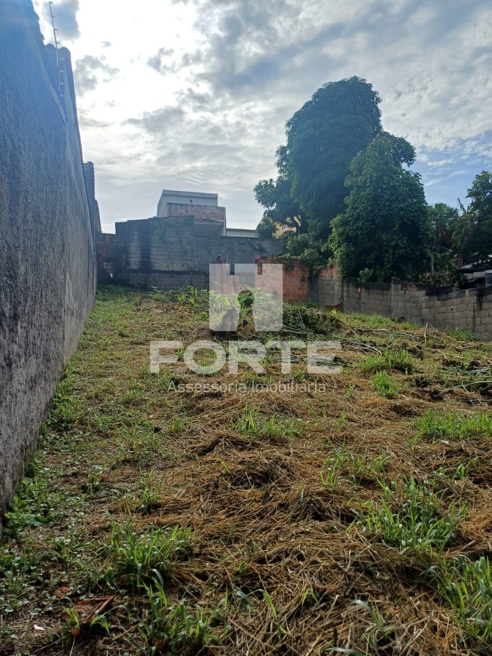 Terreno, 500 m² - Foto 5