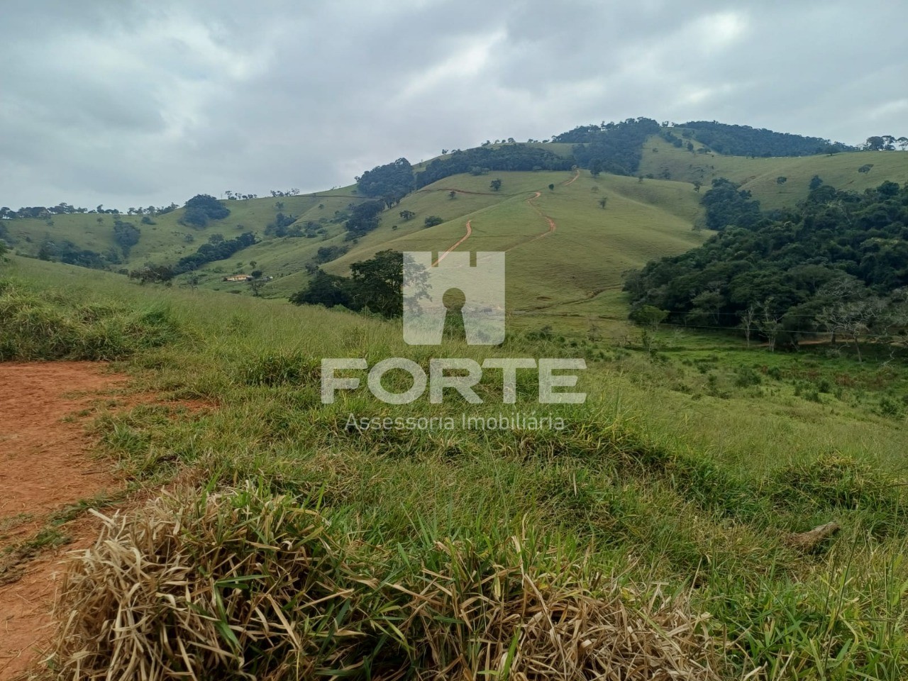 Fazenda, 39 hectares - Foto 5