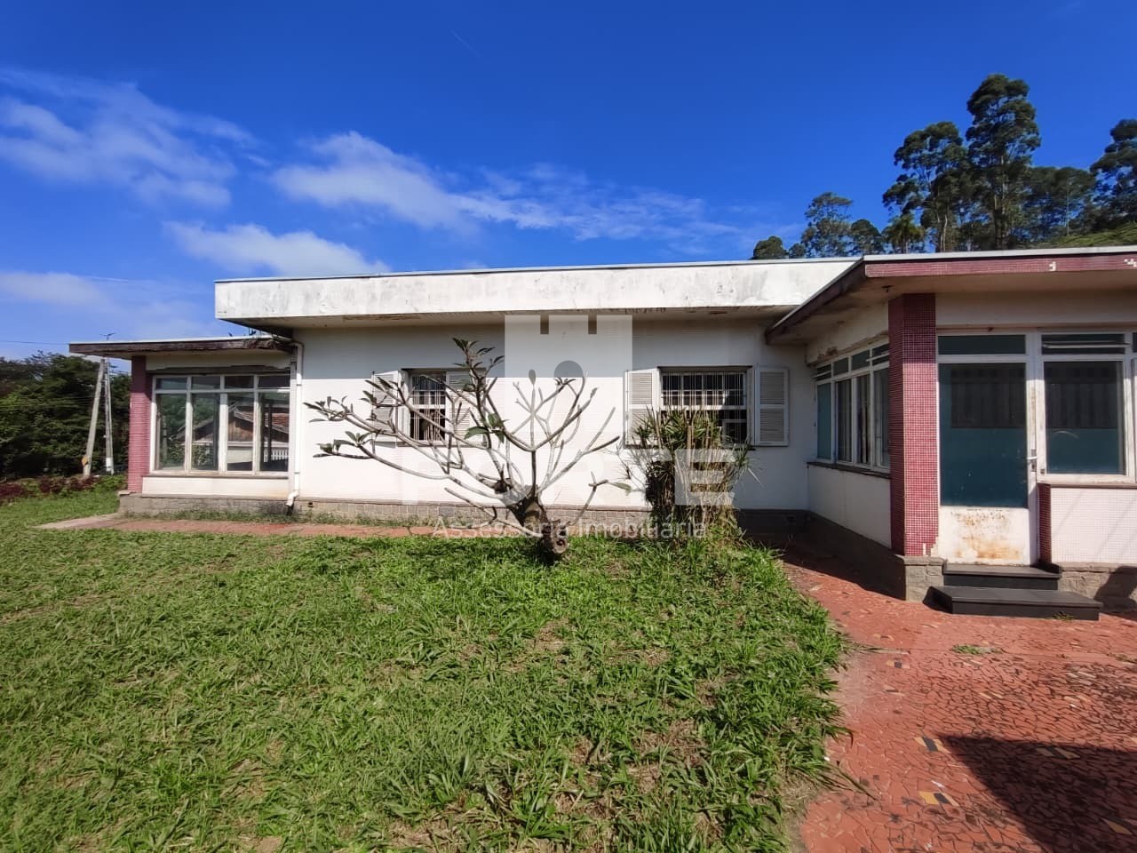 Sítio, 3 quartos, 75000 m² - Foto 5