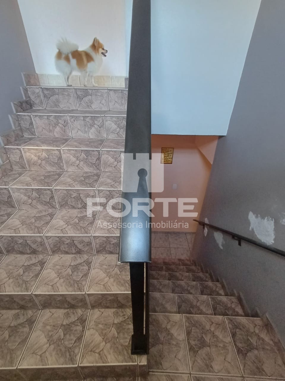 Casa, 2 quartos, 185 m² - Foto 14