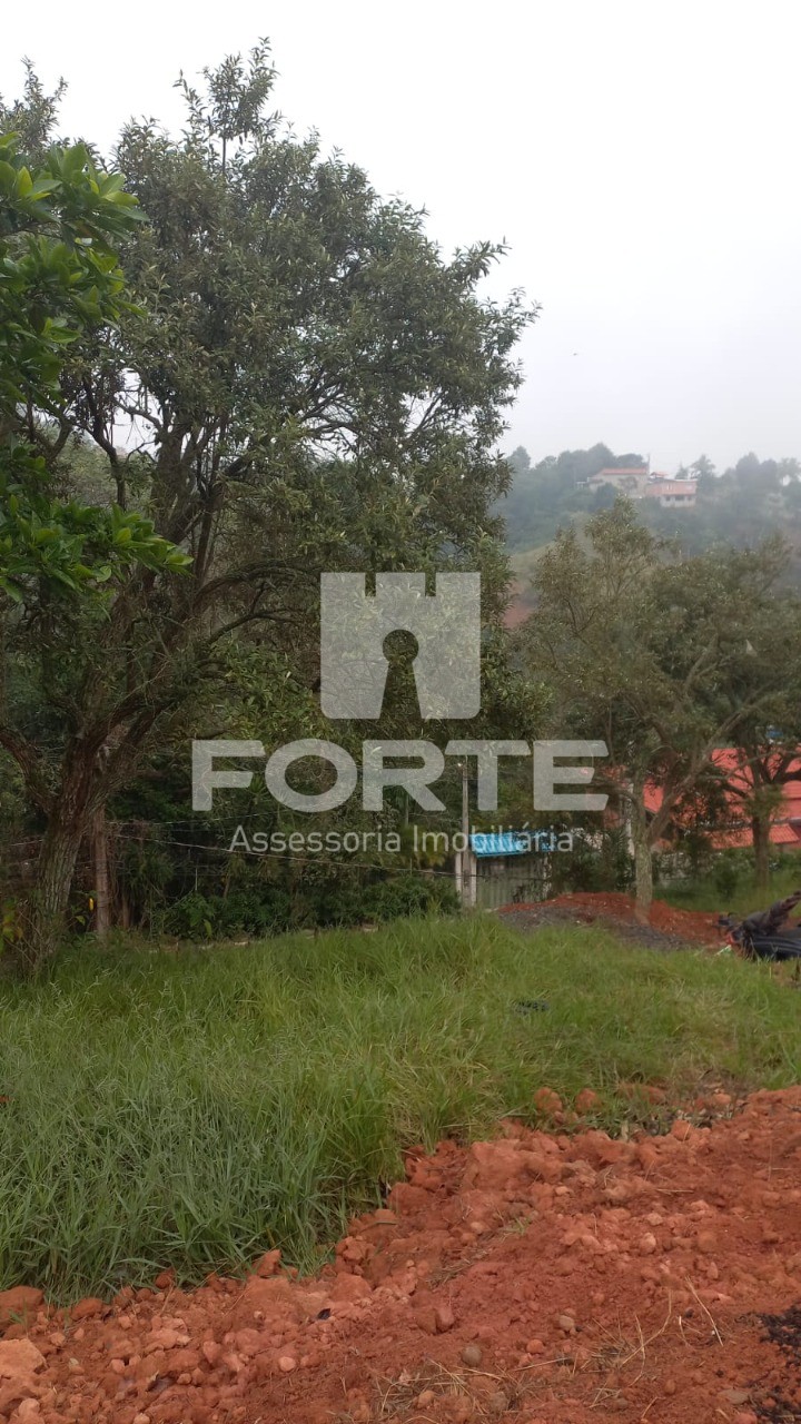 Terreno, 1000 m² - Foto 10