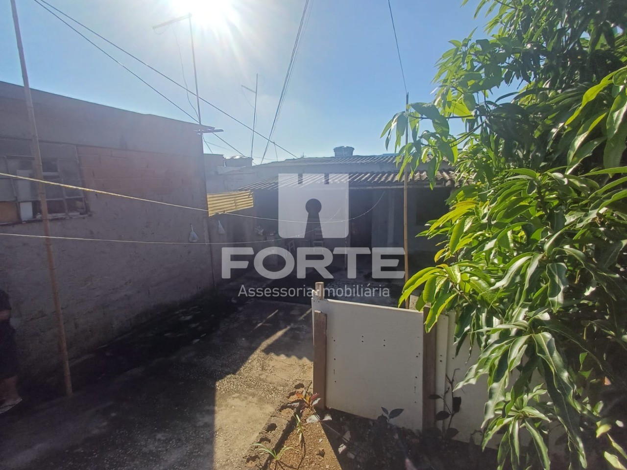 Terreno, 250 m² - Foto 3