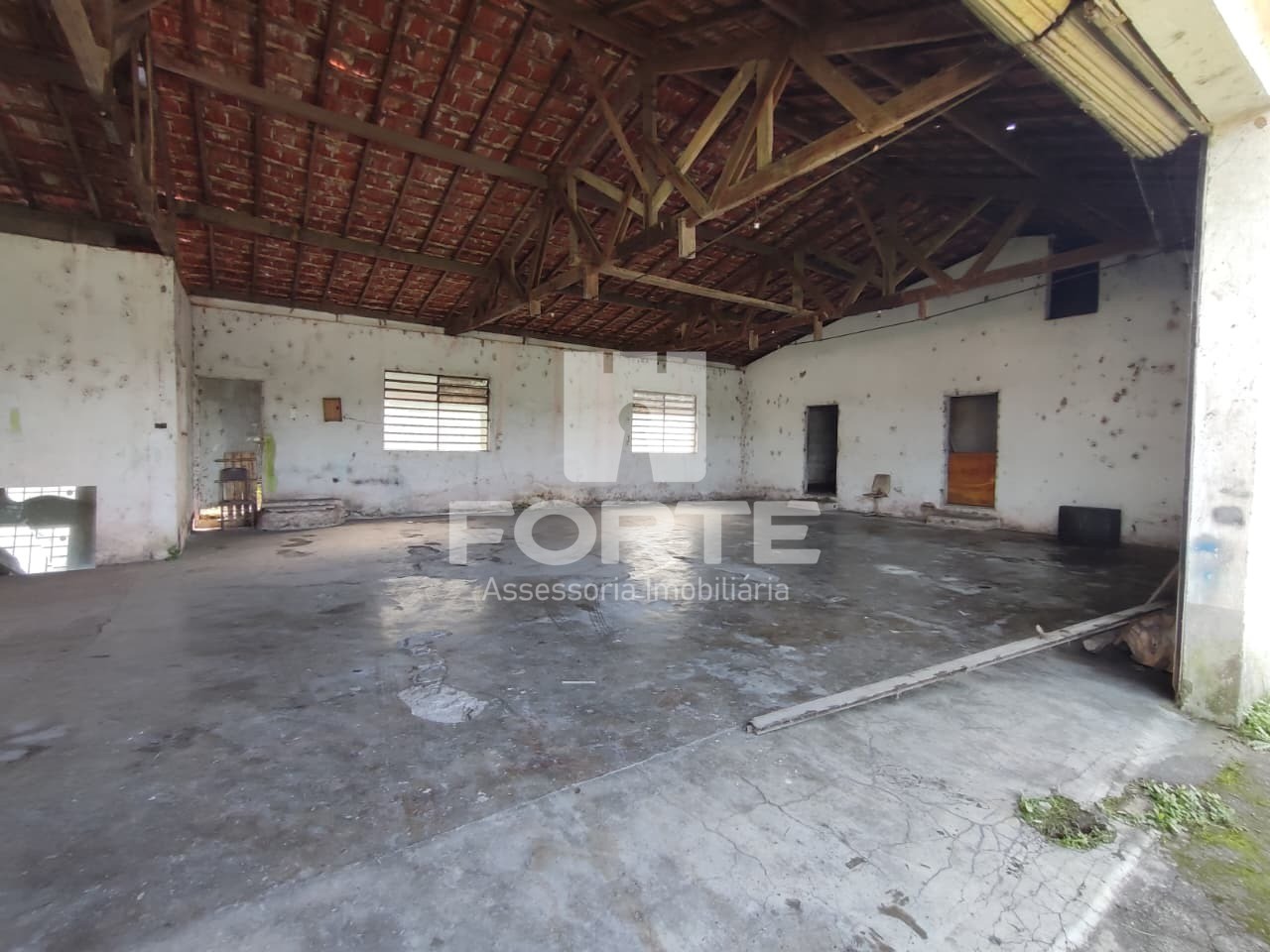 Sítio, 3 quartos, 75000 m² - Foto 11
