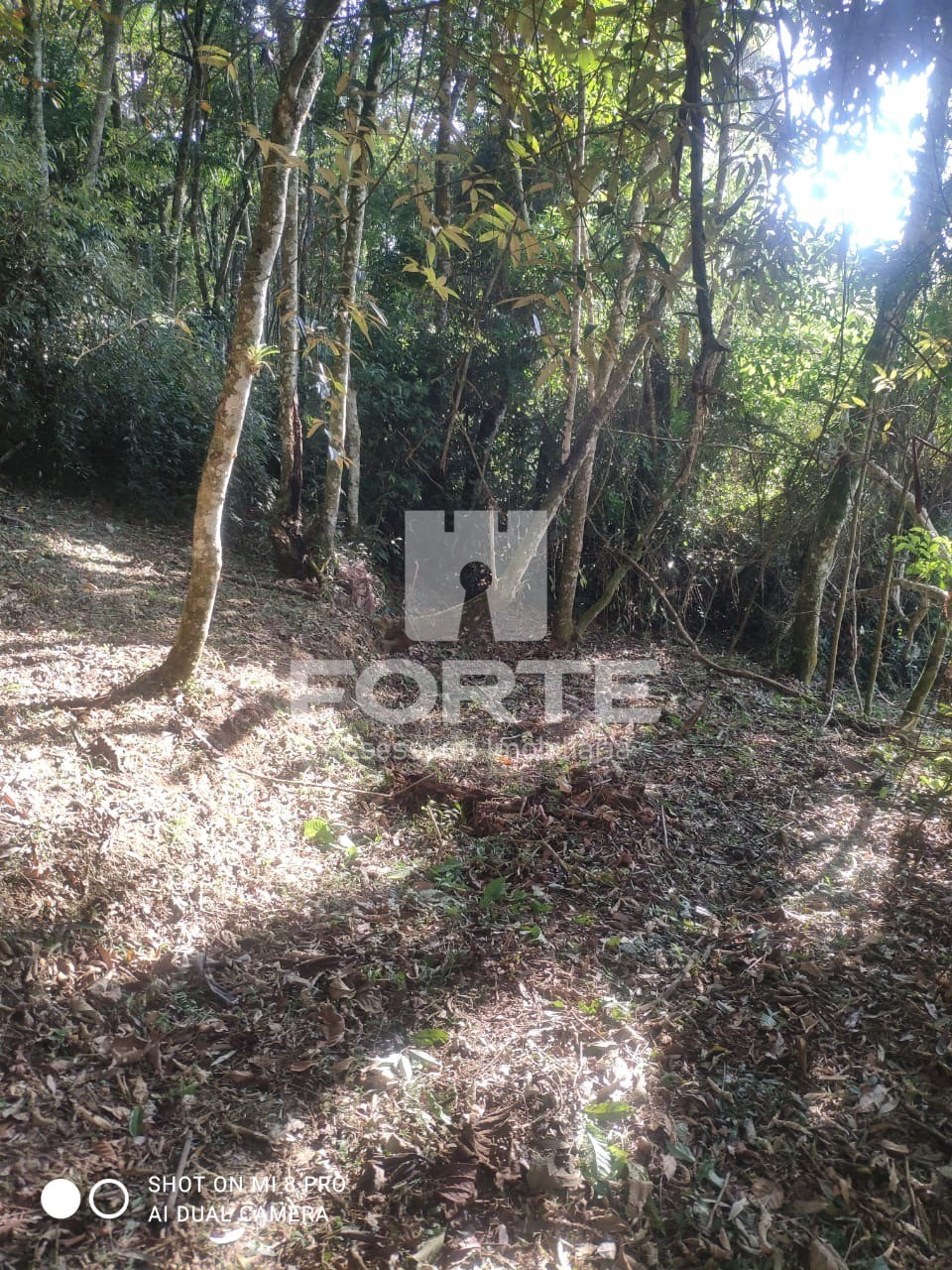 Fazenda - Foto 9