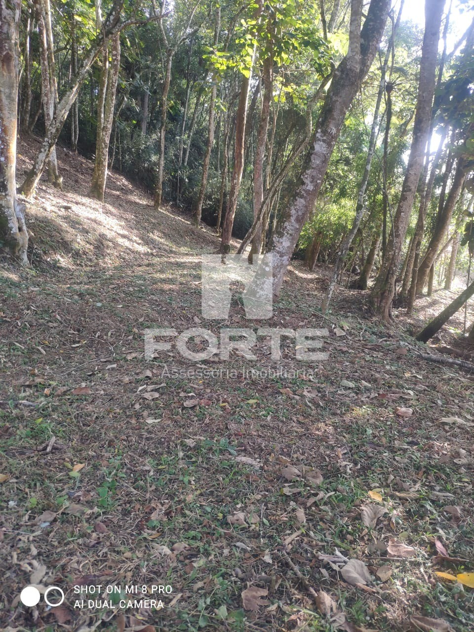 Fazenda - Foto 13