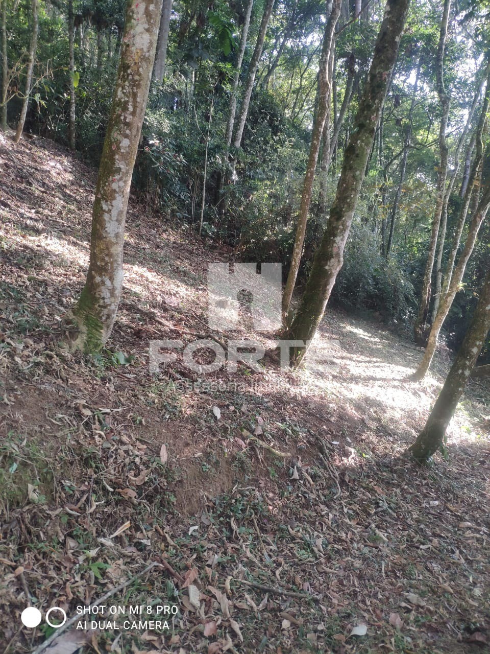 Fazenda - Foto 14