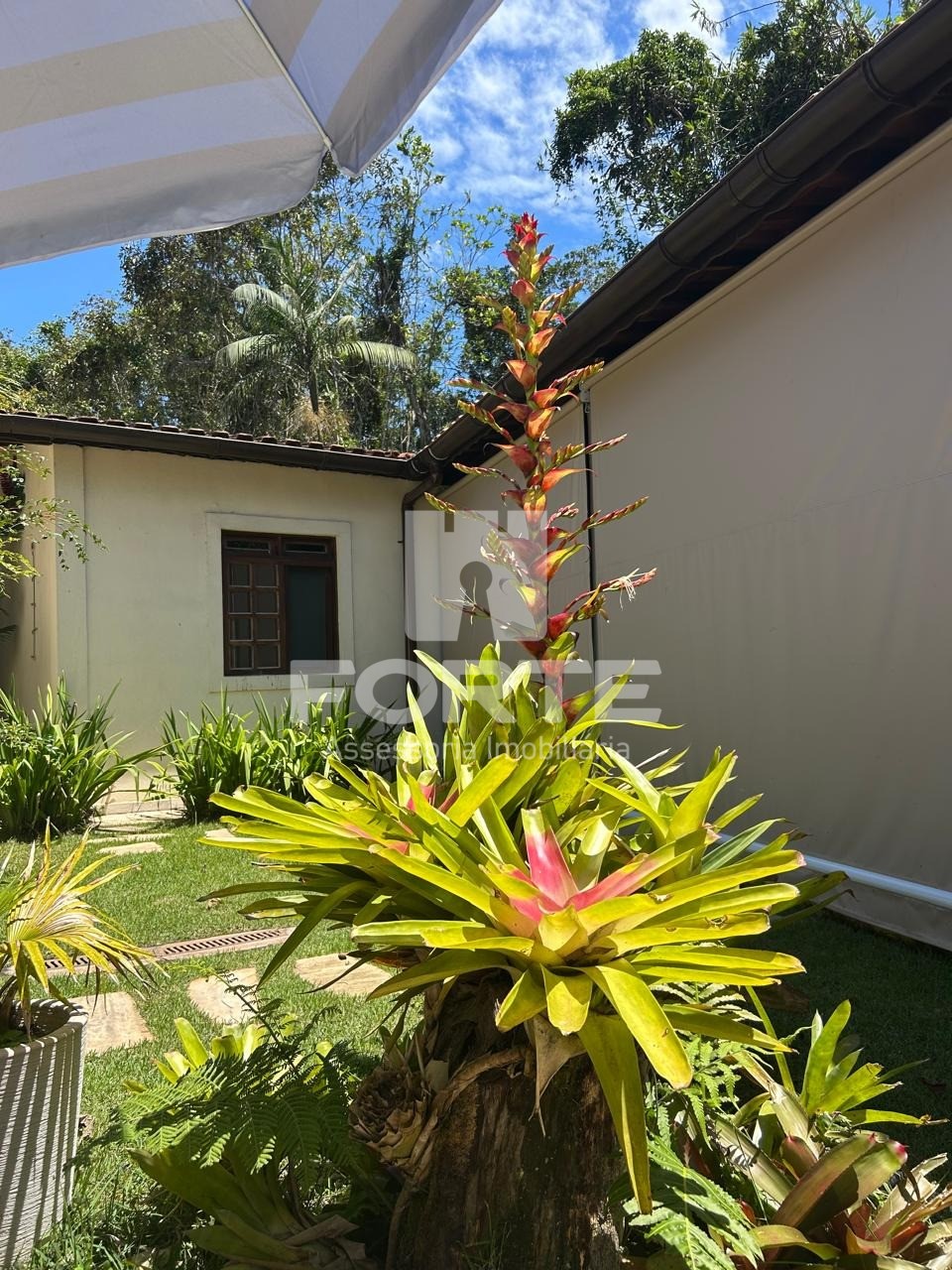 Casa, 5 quartos, 373 m² - Foto 2