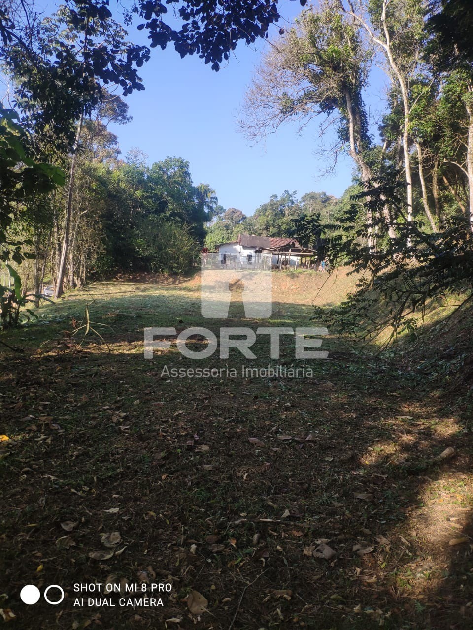Fazenda - Foto 1