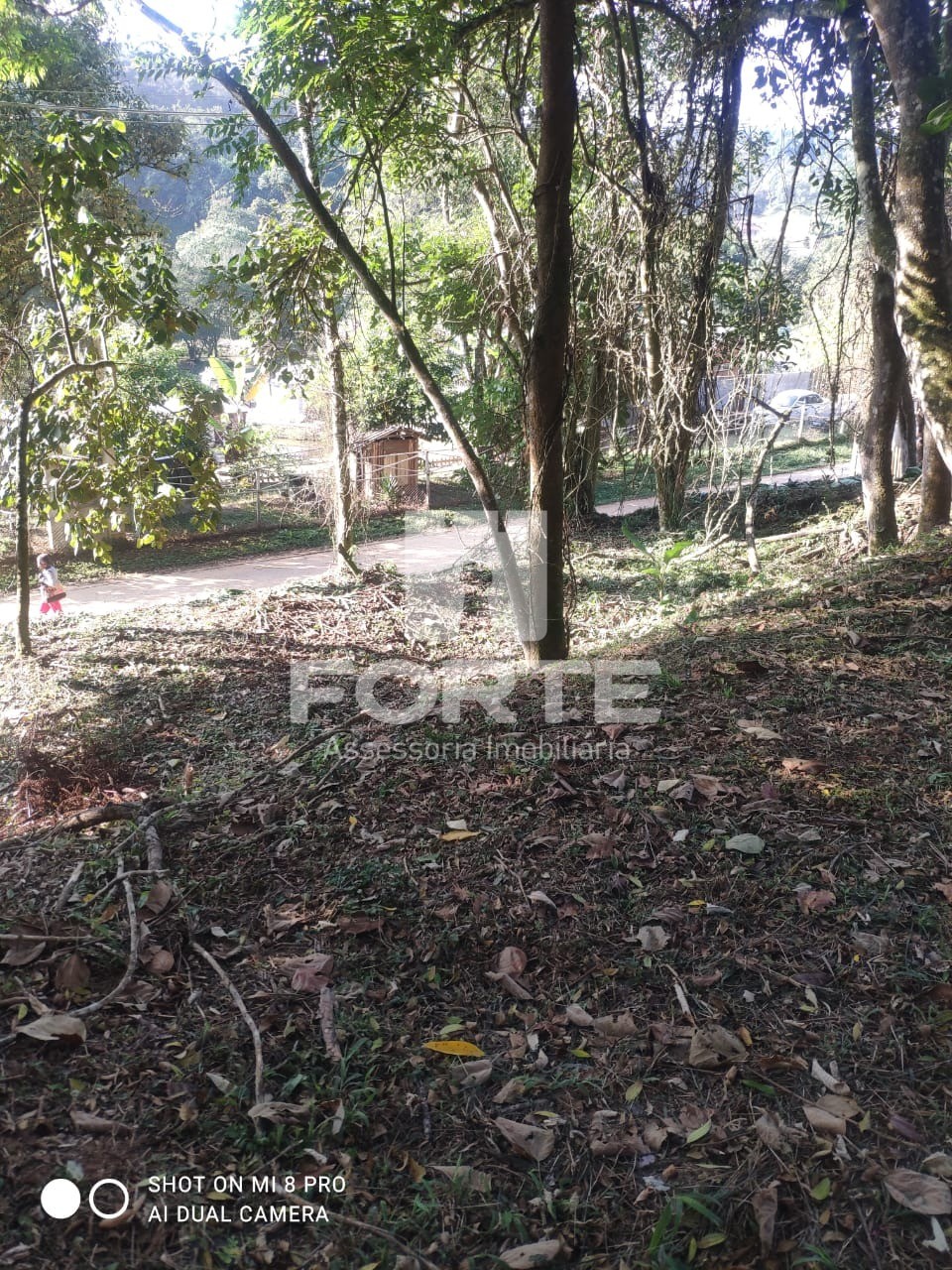 Fazenda - Foto 6