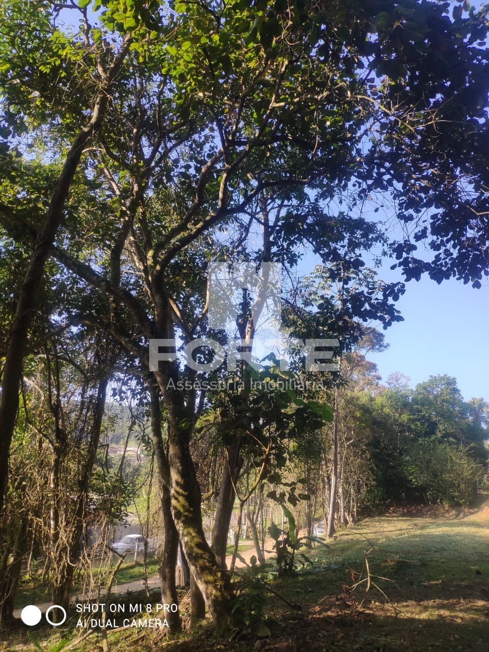 Fazenda - Foto 2