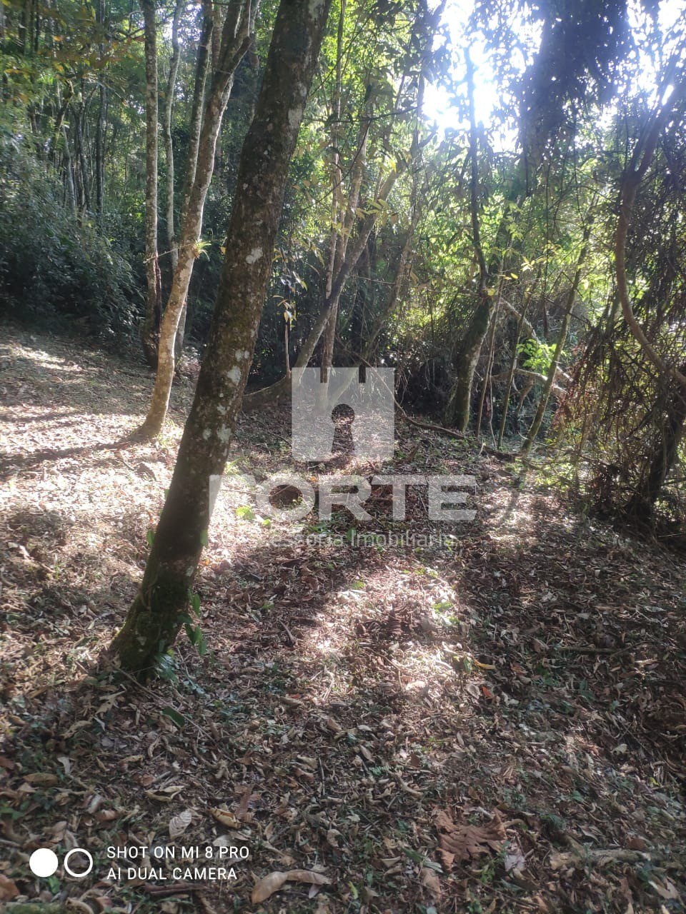 Fazenda - Foto 10