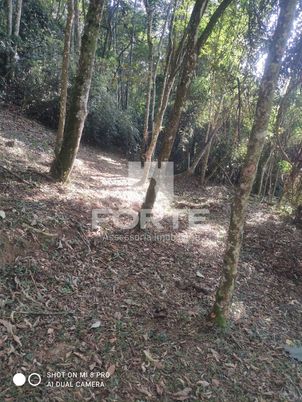 Fazenda - Foto 12