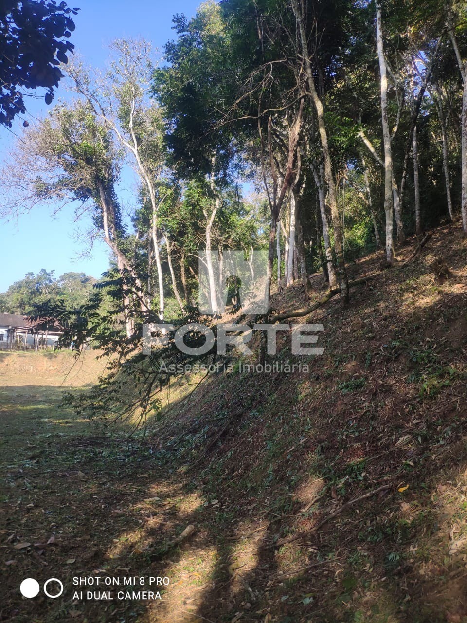 Fazenda - Foto 5