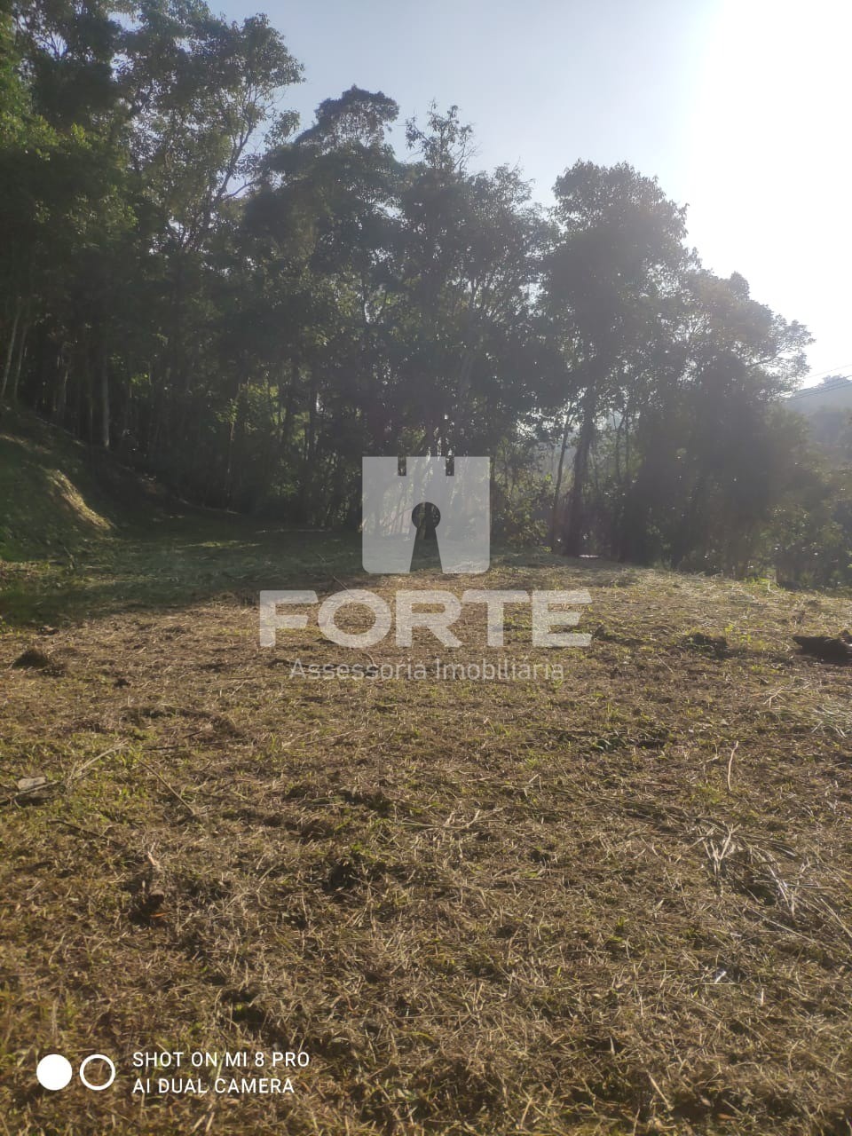 Fazenda - Foto 3