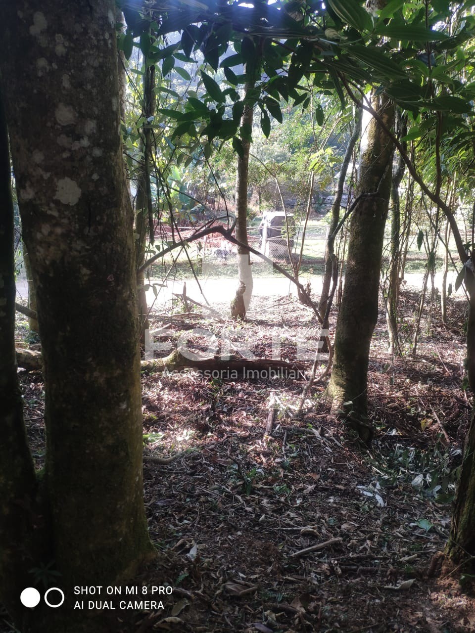 Fazenda - Foto 7