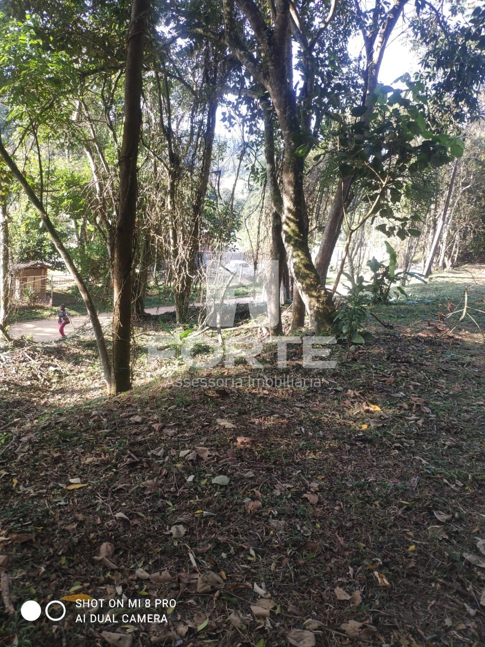 Fazenda - Foto 4