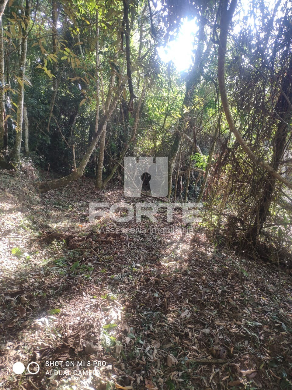 Fazenda - Foto 8