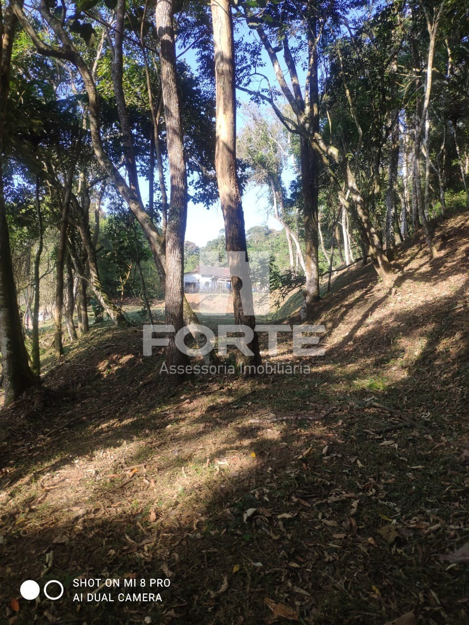 Fazenda - Foto 11