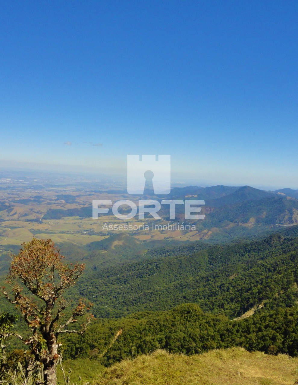 Fazenda, 4 quartos - Foto 7