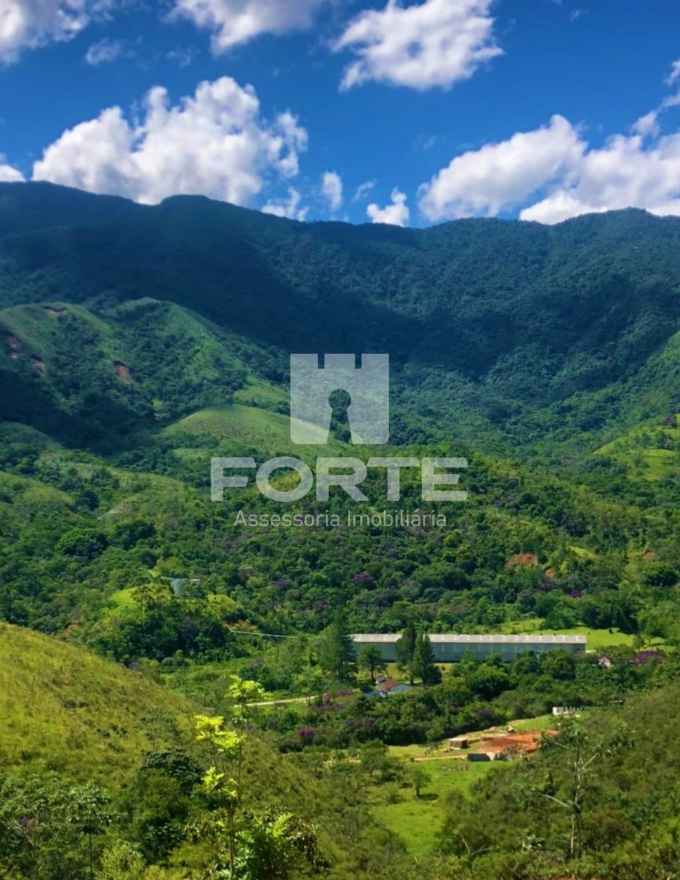Fazenda, 4 quartos - Foto 5