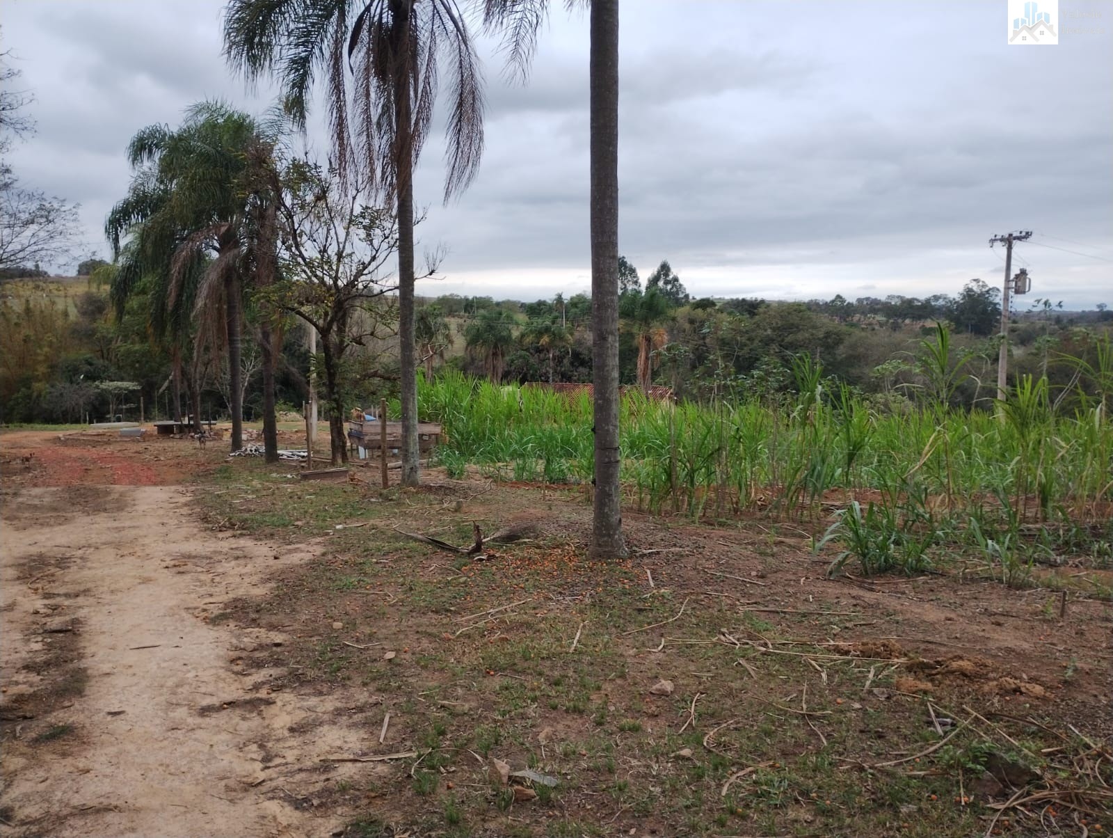 Chácara à venda - Foto 1