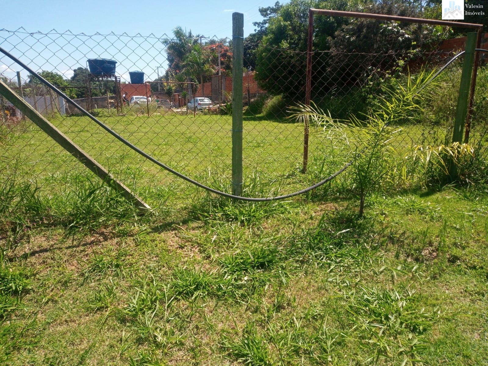 Chácara à venda com 2 quartos, 5000m² - Foto 4