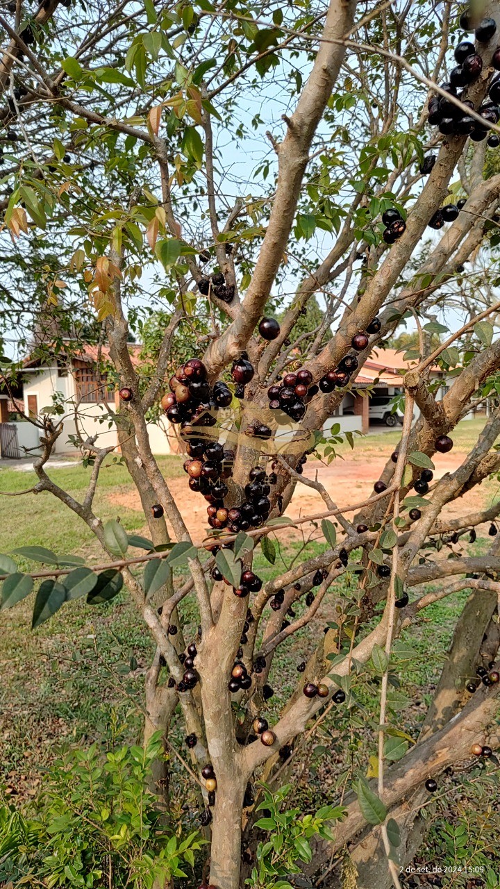 Chácara à venda - Foto 11