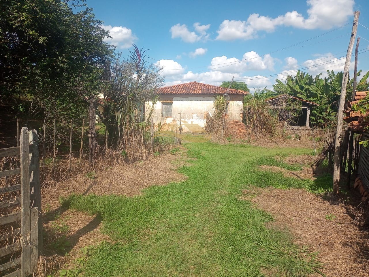 Sítio, 3 quartos - Foto 5