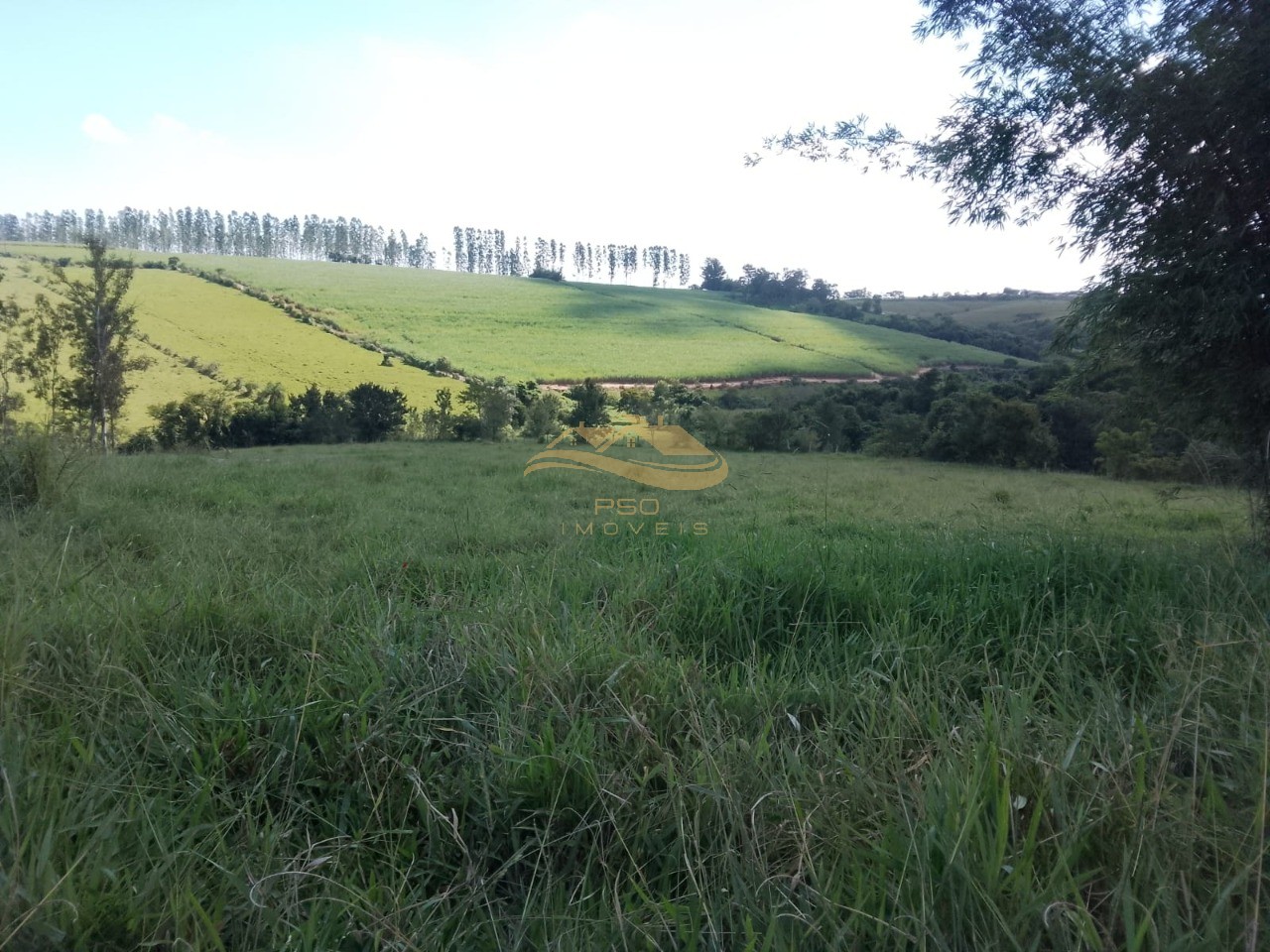 Sítio, 3 quartos - Foto 31