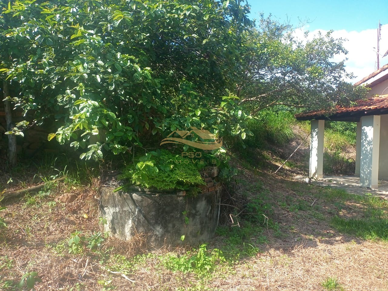 Sítio, 3 quartos - Foto 4