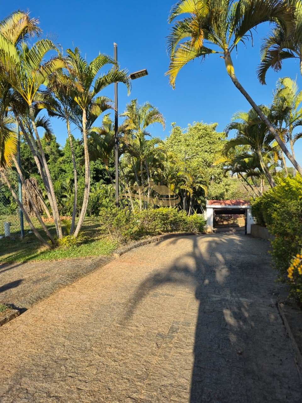 Chácara, 4 quartos - Foto 17