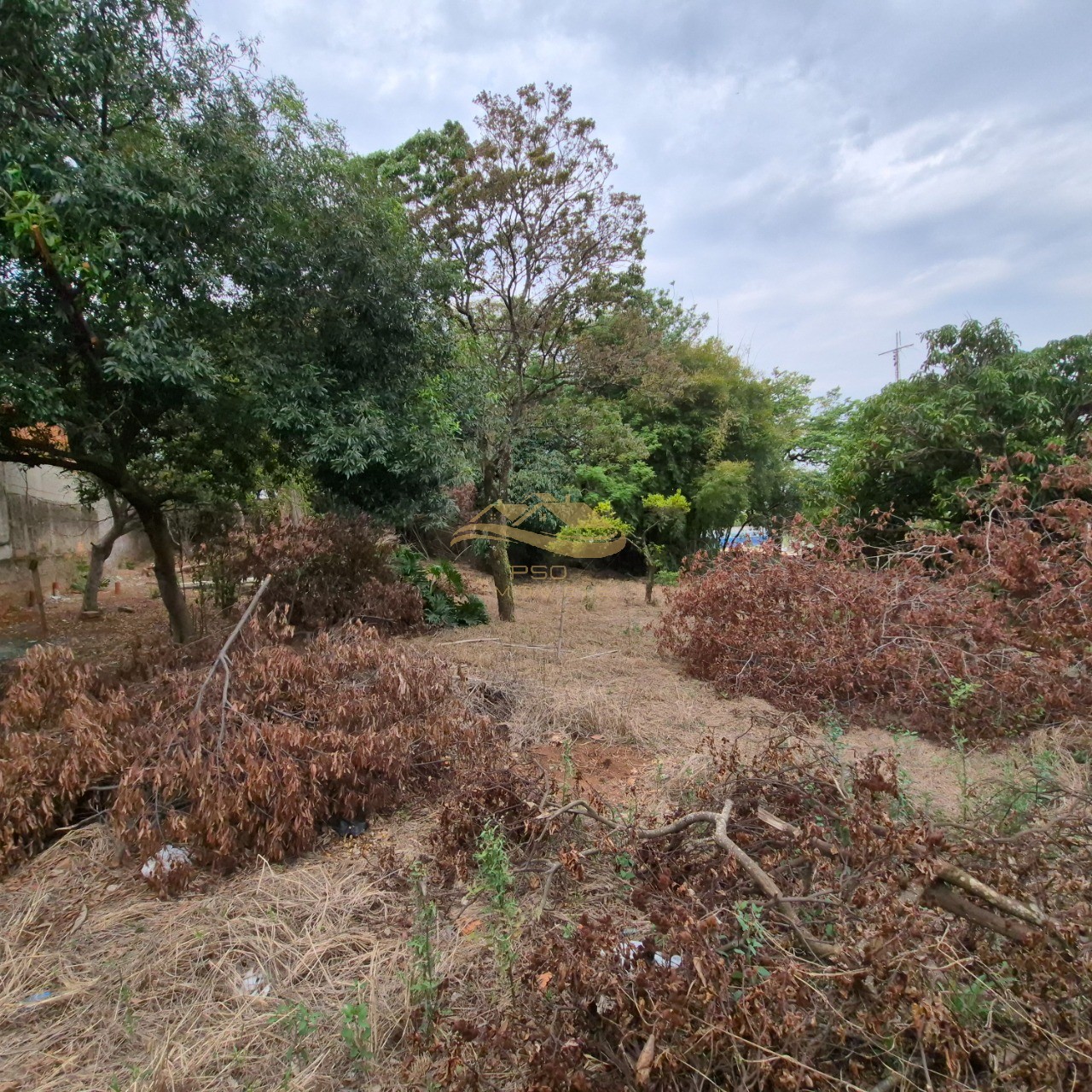 Terreno, 1000 m² - Foto 2