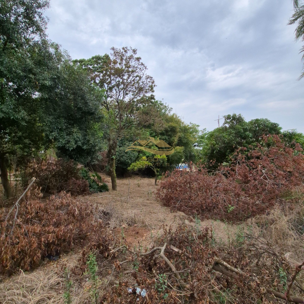 Terreno, 1000 m² - Foto 4