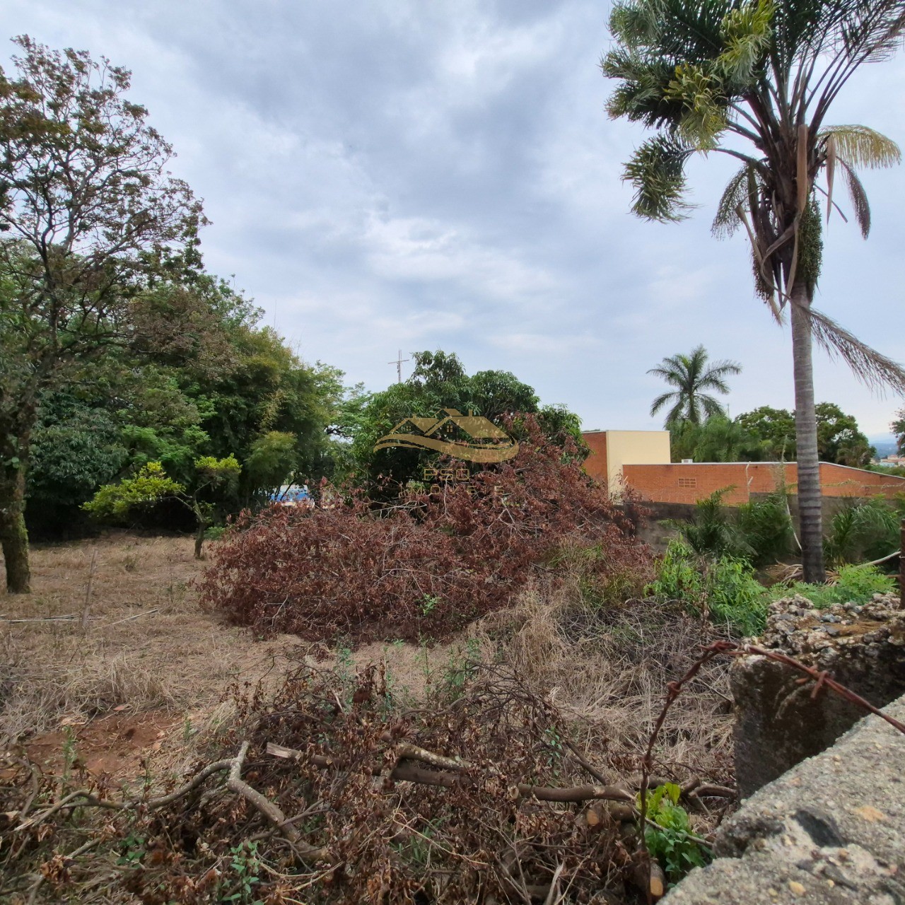Terreno, 1000 m² - Foto 3
