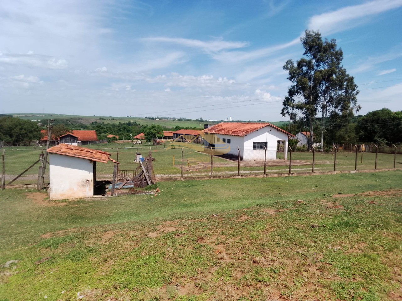 Sítio - Foto 15