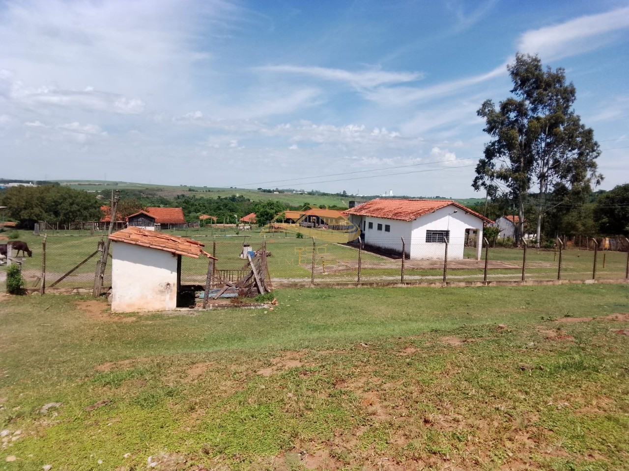 Sítio - Foto 11
