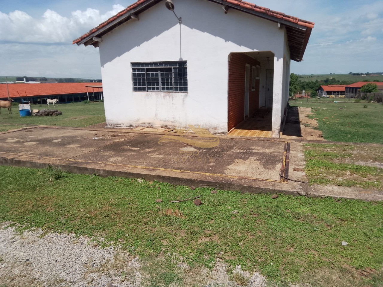 Sítio - Foto 12